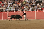 El Fandi