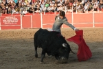 Castella