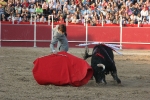 Castella