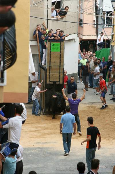 Fotografia /Gallery/21128_11981/4_M1.jpg