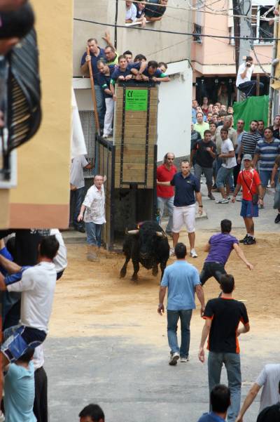 Fotografia /Gallery/21128_11981/5_M1.jpg