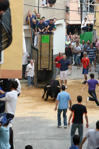 Fotografia /Gallery/21128_11981/6_M1.jpg