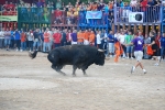 Toro Sabado