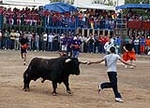 Toro Sabado