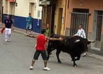 Toro Sabado