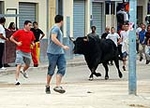 Toro Sabado