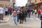 Toro Sabado