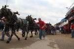 Toro Sabado