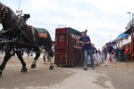 Toro Sabado