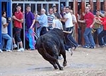 Toro Sabado
