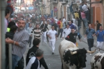 Un encierro multitudinario en Almassora