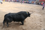 El toro que sólo duró un minuto