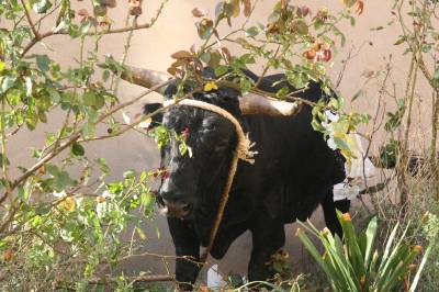 Fotografia /Gallery/21194_12029/2_M1.jpg