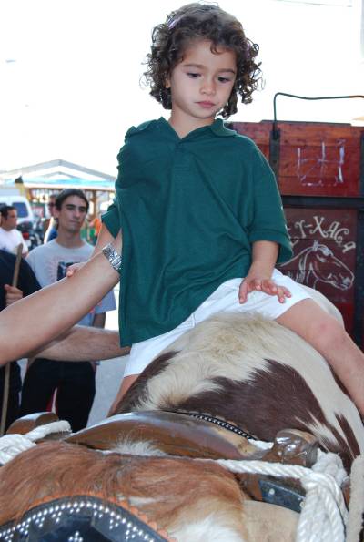 Fotografia /Gallery/21229_12043/2_M1.jpg