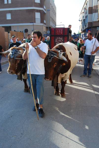 Fotografia /Gallery/21229_12043/4_M1.jpg