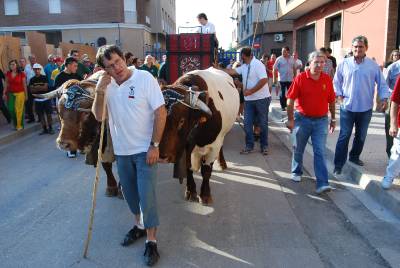 Fotografia /Gallery/21229_12043/5_M1.jpg