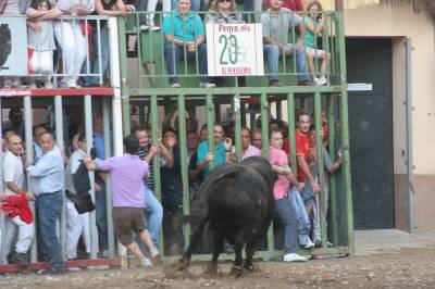 Fotografia /Gallery/21327_12110/2_M1.jpg