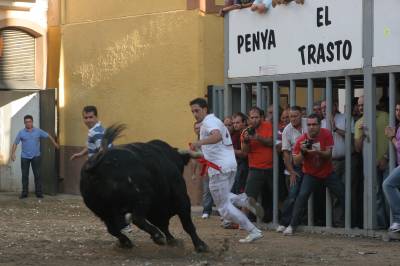 Fotografia /Gallery/21327_12110/3_M1.jpg