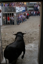 El sopar de pa i porta y los toros llenan las fiestas del Roser