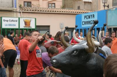 Fotografia /Gallery/21419_12193/6_M1.jpg