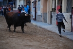 Jornada taurina en las fiestas de la Sagrada Familia