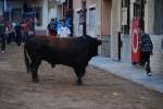 Jornada taurina en las fiestas de la Sagrada Familia
