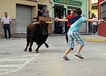 Jornada taurina en las fiestas de la Sagrada Familia