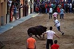 Jornada taurina en las fiestas de la Sagrada Familia