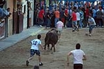 Jornada taurina en las fiestas de la Sagrada Familia