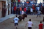 Jornada taurina en las fiestas de la Sagrada Familia