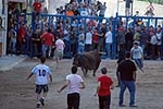 Jornada taurina en las fiestas de la Sagrada Familia
