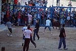 Jornada taurina en las fiestas de la Sagrada Familia