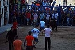 Jornada taurina en las fiestas de la Sagrada Familia