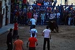 Jornada taurina en las fiestas de la Sagrada Familia