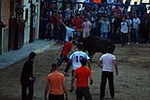 Jornada taurina en las fiestas de la Sagrada Familia