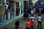 Jornada taurina en las fiestas de la Sagrada Familia