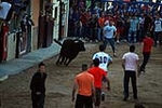 Jornada taurina en las fiestas de la Sagrada Familia