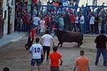 Jornada taurina en las fiestas de la Sagrada Familia
