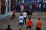 Jornada taurina en las fiestas de la Sagrada Familia
