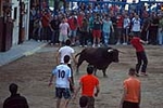Jornada taurina en las fiestas de la Sagrada Familia