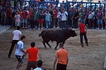 Jornada taurina en las fiestas de la Sagrada Familia