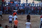 Jornada taurina en las fiestas de la Sagrada Familia