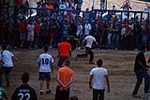 Jornada taurina en las fiestas de la Sagrada Familia