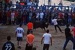 Jornada taurina en las fiestas de la Sagrada Familia