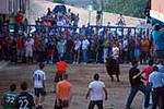 Jornada taurina en las fiestas de la Sagrada Familia