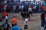 Jornada taurina en las fiestas de la Sagrada Familia