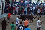 Jornada taurina en las fiestas de la Sagrada Familia