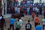 Jornada taurina en las fiestas de la Sagrada Familia