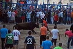 Jornada taurina en las fiestas de la Sagrada Familia