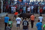 Jornada taurina en las fiestas de la Sagrada Familia